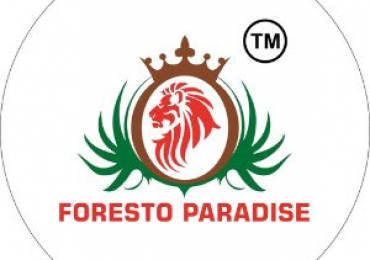 Foresto Paradise